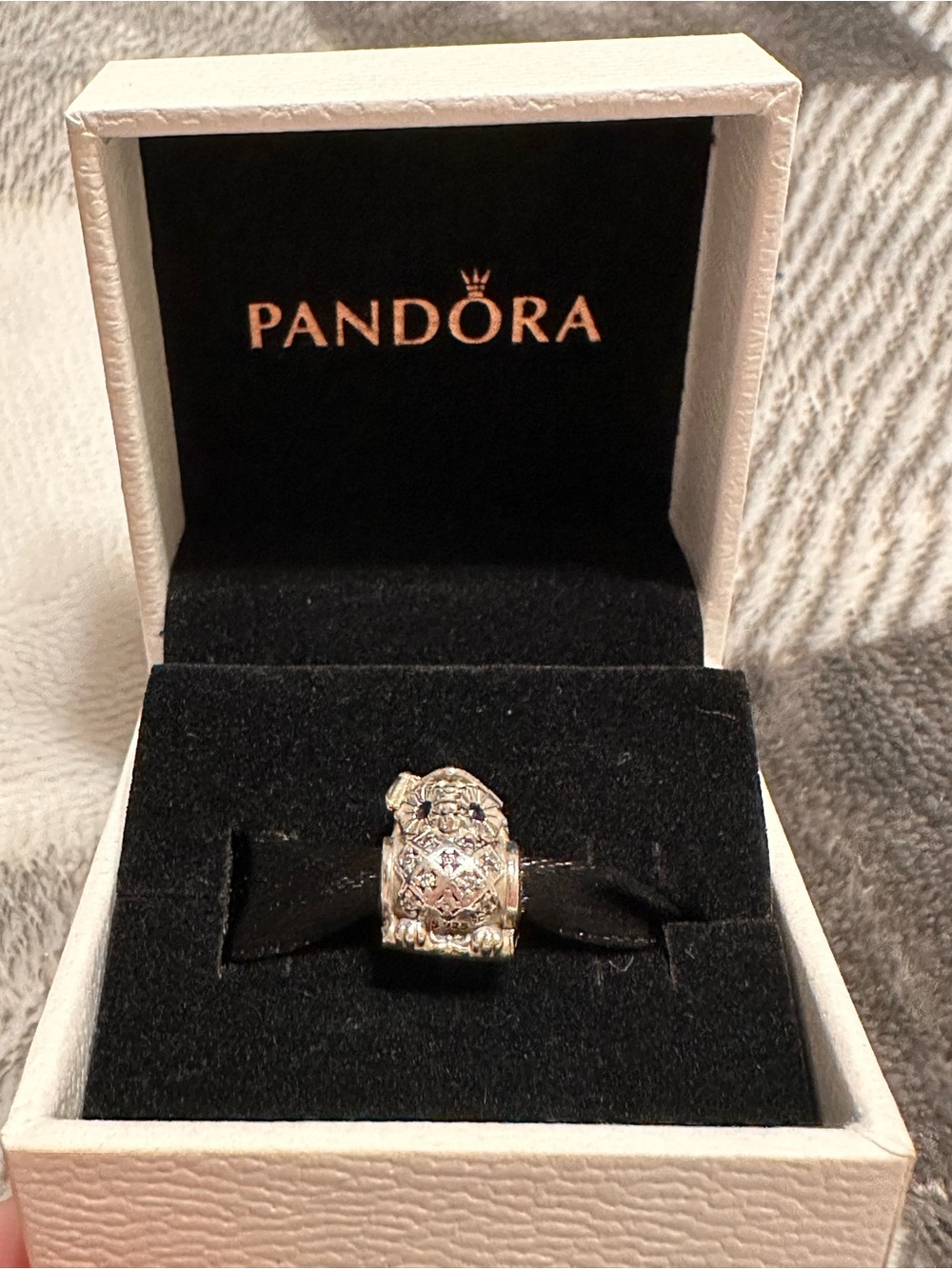 Pandora Graduation Charm